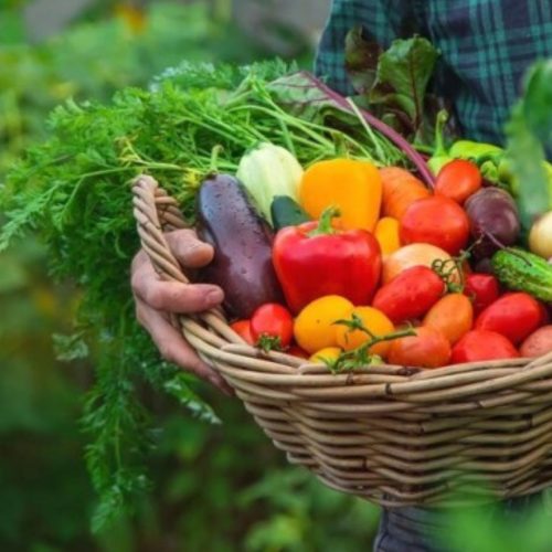 PAA 2026: Conab apresenta propostas para agricultura familiar durante evento na Bahia