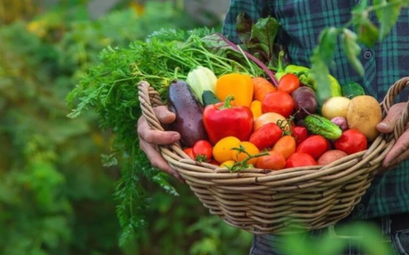 PAA 2026: Conab apresenta propostas para agricultura familiar durante evento na Bahia