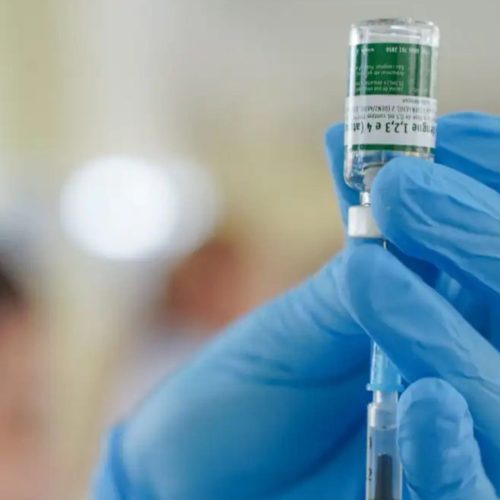 Vacina da dengue do Butantan: Anvisa cria grupo para avaliar segurança do imunizante