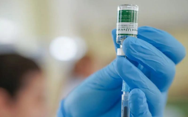 Vacina da dengue do Butantan: Anvisa cria grupo para avaliar segurança do imunizante