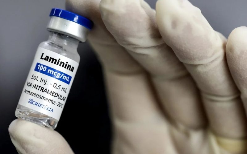 Polilaminina: Anvisa autoriza aplicação em jovem ferida por galho de árvore em Curitiba