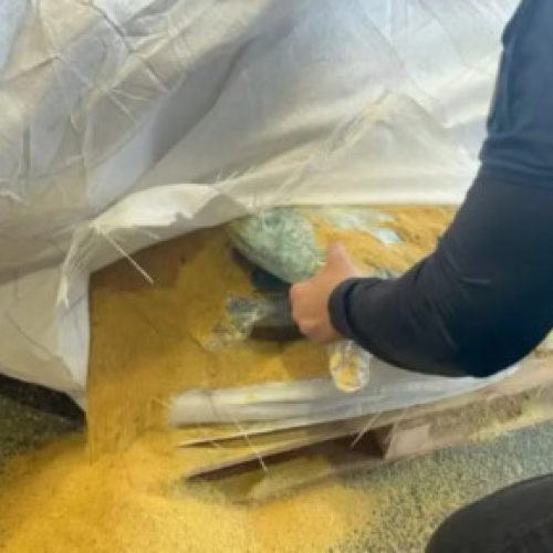 Cocaína escondida dentro de carga de soja é apreendida no Porto de Salvador