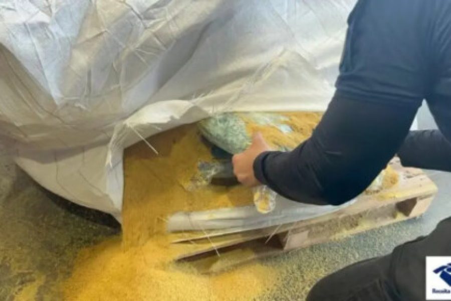 Cocaína escondida dentro de carga de soja é apreendida no Porto de Salvador