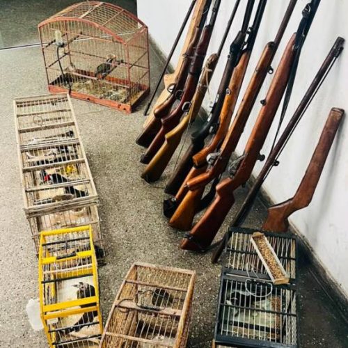 PM encontra armas artesanais e prende colecionador em flagrante