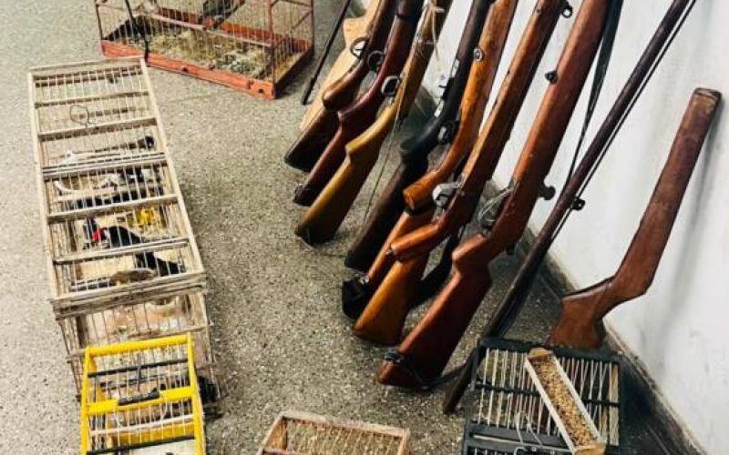 PM encontra armas artesanais e prende colecionador em flagrante