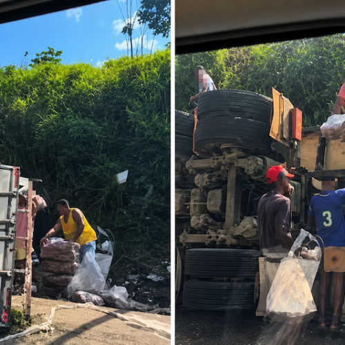 Caminhão tomba na BR-101 em Ubaitaba e carga de frangos é saqueada por populares