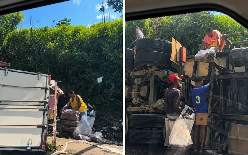 Caminhão tomba na BR-101 em Ubaitaba e carga de frangos é saqueada por populares