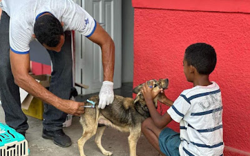 Ubatã promove vacinação antirrábica para cães e gatos com ação noturna na Praça Rui Barbosa